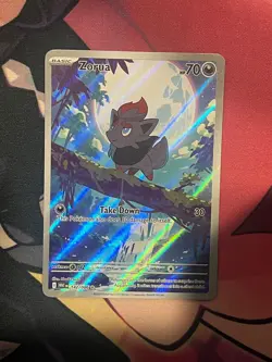 Zorua 142/086 Holo Illustration Rare White Flare Pokemon NM Card - Image 1