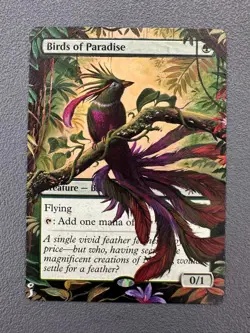 Birds of Paradise MTG Secret Lair Drop SLD Hand Painted Extended Altered Art oj - Image 1