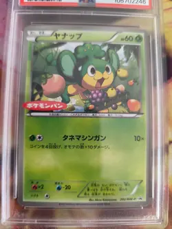 Pokemon Card Pansage Daichii Pan Promo BW Stamp Black White Japanese PSA 8 - Image 3