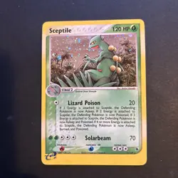 Pokemon TCG Sceptile Rare Holo Card 11/109 Ruby & Sapphire LP - EXC fast ship - Image 2