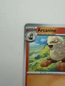 Pokemon Arcanine My First Battle - Image 2