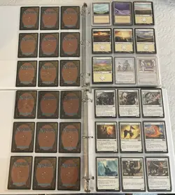 550+ Magic the Gathering MTG Card Lot - All White, 2 Binders; READ DESCRIPTION - Image 3