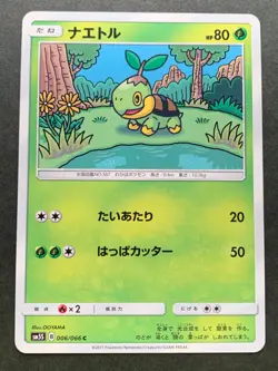 Pokemon card Turtwig 006/066C 2017 Pokemon TCG Japanese Nintendo Common OOYAMA - Image 1