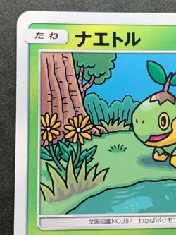 Pokemon card Turtwig 006/066C 2017 Pokemon TCG Japanese Nintendo Common OOYAMA - Image 2