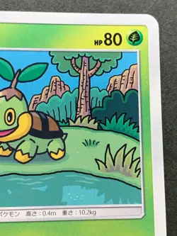 Pokemon card Turtwig 006/066C 2017 Pokemon TCG Japanese Nintendo Common OOYAMA - Image 3