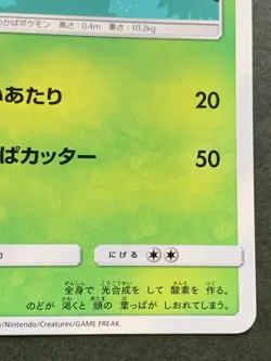 Pokemon card Turtwig 006/066C 2017 Pokemon TCG Japanese Nintendo Common OOYAMA - Image 4