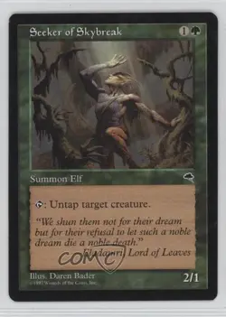 Seeker of Skybreak Magic: Tempest 1997 - Image 1