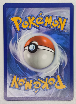 Fidough SVP 069 Black Star Promo English NM Pokemon TCG - Image 2