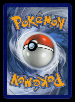 Pokemon Card - SWSH - Champion's Path Rolycoly 031/073 Reverse Holo - NM - Image 2