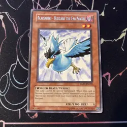 Blackwing - Blizzard the Far North RGBT-EN010 - Unlimited Rare NM/LP Yu-Gi-Oh! - Image 1