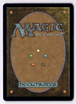 Stensia Bloodhall LP* Innistrad ENGLISH 247/264 mtg -UnltdCards - Image 2
