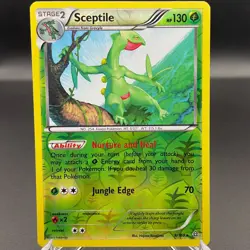 Pokemon Sceptile 8/160 Reverse Holo Primal Clash XY 2015 NM Grass Rare - Image 1