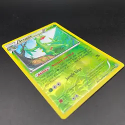 Pokemon Sceptile 8/160 Reverse Holo Primal Clash XY 2015 NM Grass Rare - Image 3