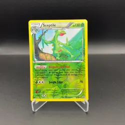 Pokemon Sceptile 8/160 Reverse Holo Primal Clash XY 2015 NM Grass Rare - Image 4