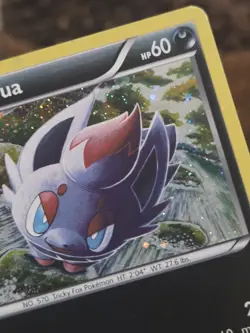 2011 Pokemon BW Black Star Promos Zorua #BW12 - LP - Image 4