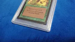 Psa7 Nm Mtg Beta English Regrowth Identification Product - Image 3