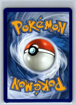 Mega Venusaur ex 013 Holo Promo ME: Mega Evolution Promo Pokemon Near Mint - Image 2