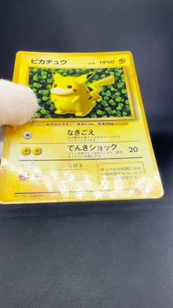 3Card Ivy Pikachu No.025 Corocoro Comics Promo Glossy MP Japanese Pokemon Card - Image 2