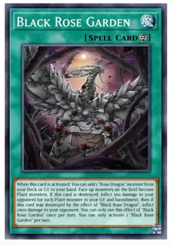 Yugioh! Black Rose Garden DOOD-EN055 STARLIGHT RARE PREORDER - Image 1
