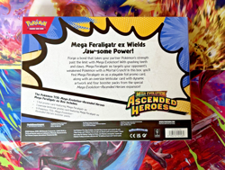 3x Pokemon Sealed Cards Lot - Ascended Heros, Mega Box Zygarde ex PC, 3x Blister - Image 3