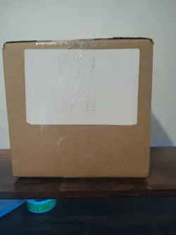 2026 Pokemon Day Collection (6-Box Open Case/6 Sealed Boxes) READ DESCRIPTION!!! - Image 4