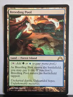 Breeding Pool, Gatecrash Regular, MTG, NM - Image 1