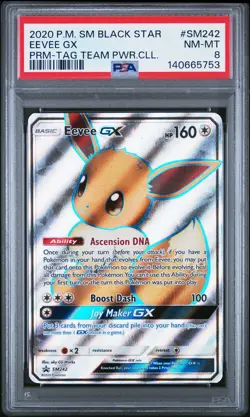 2020 Pokemon Promo #SM242 Eevee Gx Prm-Tag Team Pwr.Cll. PSA 8 - Image 1