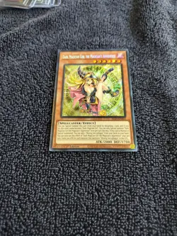 YUGIOH! Dark Magician Girl the Magician's Apprentice ALIN-EN004 Secret Rare NM - Image 4
