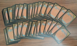 42x Vintage Basic Land Lot - Odyssey Set - MP - mtg SPARROW MAGIC - Image 2