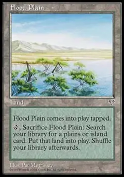 Flood Plain - Medium Play MTG Mirage - Image 1