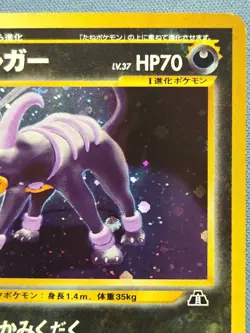 Pokemon TCG Crossing the Ruins... Houndoom 229 Holo Japanese - Image 3