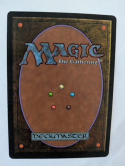Glacial Chasm Ice Age MTG Exc Free shipping with tracking - Image 2