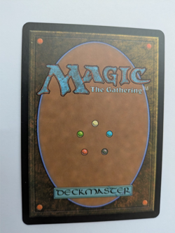 Form of the Squirrel - Unhinged MTG NM Free shipping with tracking - Image 2