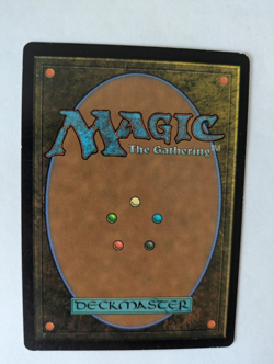 Rain of Gore Dissension MTG NM Free shipping with tracking - Image 2