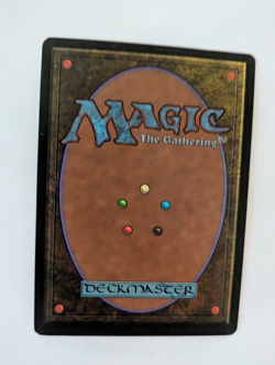 Cleansing The Dark MTG Free shipping with trackingExc - Image 2