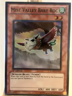 YuGiOh! Mist Valley Baby Roc HA02-EN013 - 1st Edition - Super Rare - NM - Image 1