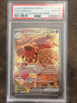2024 POKEMON SCR EN-STELLAR CROWN SPECIAL ILLUSTRATION RARE DACHSBUN EX PSA 10 - Image 1