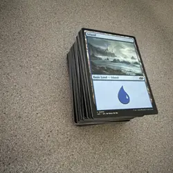 200 Magic the Gathering Basic Land Cards Lot - 40 of each type - MTG - Image 3