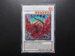 Yugioh - Black Rose Dragon CT05-EN003 Secret Rare - Image 1