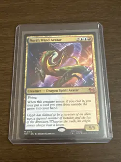 North Wind Avatar 0162 Teenage Mutant Ninja Turtles Magic: The Gathering NM - Image 1