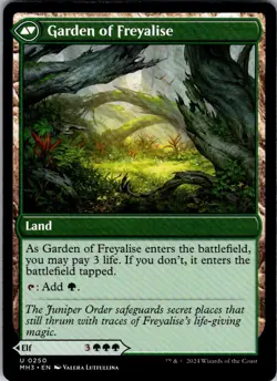 DISCIPLE OF FREYALISE 250 UNCOMMON MODERN HORIZONS 3 MAGIC: THE GATHERING LP - Image 2