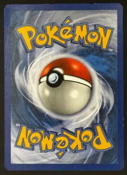 Pokemon TCG: Swinub - Skyridge eReader #108 Reverse Holo [LP-] - Image 3