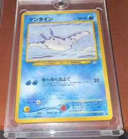 Nintendo Pokemon TCG 5-Card Japanese Lot SVP 213 Feraligatr Promo Graded - Image 5