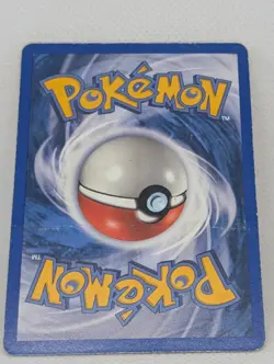 Charmander 113/112 Firered & Leafgreen Holo Secret Rare Pokemon TCG Charizard - Image 4