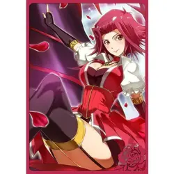Yu-Gi-Oh Akiza Izinski Black Rose doujin Card Sleeve Protector - Image 1