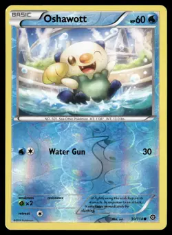 Oshawott 30/114 Common Steam Siege Pokemon Reverse Holo NM/M - Image 1