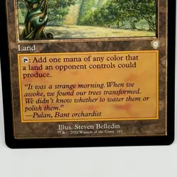 Magic The Gathering Exotic Orchard 185 The Brothers War Retro Frame Land MTG - Image 3