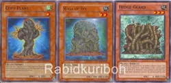 Yugioh Wall of Ivy + Copy Plant + Hedge Guard Set - Image 1