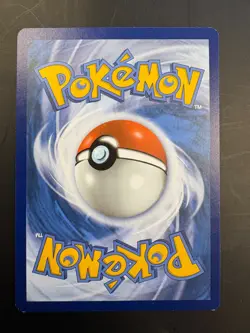Skwovet 127/198 Reverse Holo Common Chilling Reign Pokemon Card NM - Image 2