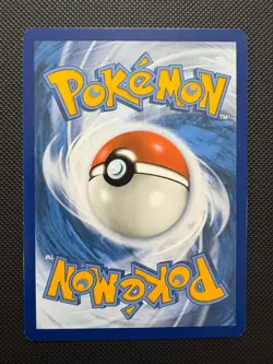 Minccino 145/202 Common Sword & Shield Pokemon - Image 2